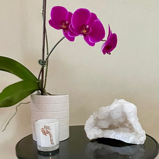 Crystal Quartz Geode